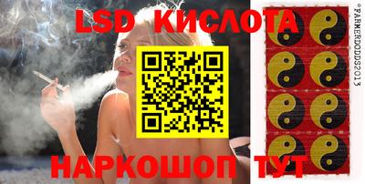 скорость Бийск