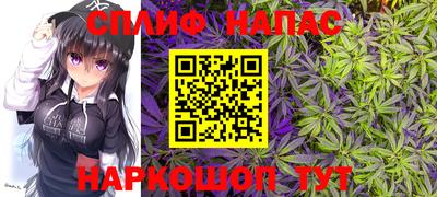 PSILOCYBIN Беслан