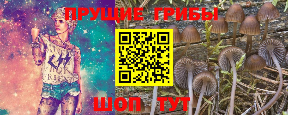Кольчугино  Псилоцибиновые грибы ЛСД  Псилоцибиновые грибы мицелий  Вход с VPN 