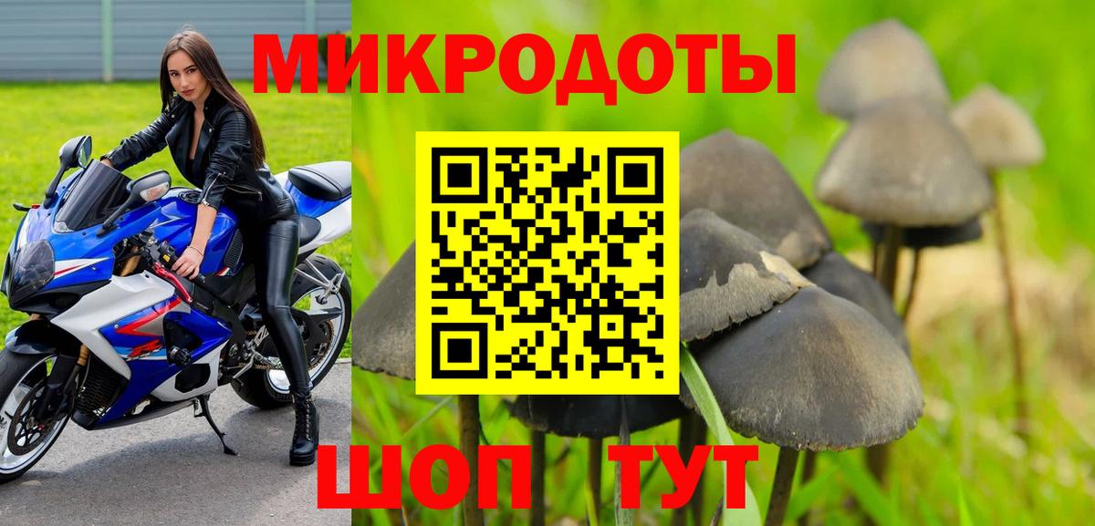 Псилоцибиновые грибы Magic Shrooms Кольчугино