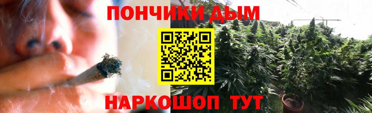 Каннабис OG Kush Кольчугино